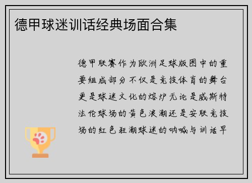 德甲球迷训话经典场面合集